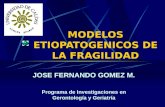 MODELOS ETIOPATOGENICOS DE LA FRAGILIDAD JOSE FERNANDO GOMEZ M. Programa de Investigaciones en Gerontología y Geriatría.