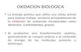 OXIDACION BIOLOGICA