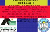 Cerealicultura- Bolilla 8 SORGOS GRANÍFEROS. a-) Importancia en el país y en el NOA. Antecedentes históricos y genético-geográficos. Sistemática. Descripción.