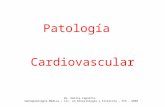 Patología Cardiovascular Dr. Emilia Cagnotto. Semiopatología Médica – Lic. en Kinesiología y Fisiatría – FCS - UNER.