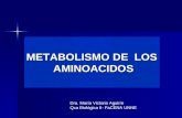 METABOLISMO DE LOS AMINOACIDOS Dra. María Victoria Aguirre Qca Biológica II- FaCENA UNNE.