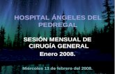 HOSPITAL ÁNGELES DEL PEDREGAL SESIÓN MENSUAL DE CIRUGÍA GENERAL Enero 2008. Miércoles 13 de febrero del 2008.