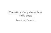 Constitución y derechos indígenas Teoría del Derecho.