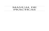 Manual de Practicas Java-Algoritmos