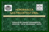 HEMORRAGIA GASTROINTESTINAL SERVICIO DE CIRUGIA EXPERIMENTAL HOSPITAL 20 DE NOVIEMBRE ISSSTE.