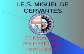 I.E.S. MIGUEL DE CERVANTES FORMACIÓN PROFESIONAL ESPECIFICA.