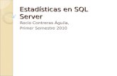 Estadísticas en SQL Server Rocío Contreras Águila, Primer Semestre 2010.