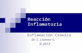 Reacción Inflamatoria Inflamación Crónica Dr. C. Liannoi C. II-2012.