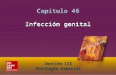 McGraw-Hill Education LLC Todos los derechos reservados. Capítulo 46. Infección genital Sección III. Patología especial Sección III Patología especial.