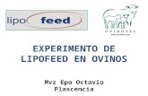 EXPERIMENTO DE LIPOFEED EN OVINOS Mvz Epo Octavio Plascencia.