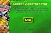Sector Agroforestal Prioridades del Nuevo Gobierno, el Proceso de Preparación de la Estrategia de Asistencia del Banco Mundial para Honduras FEBRERO 2006.
