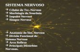 SISTEMA NERVOSO Células do Tec. Nervoso Células do Tec. Nervoso Morfologia do Neurônio Morfologia do Neurônio Impulso Nervoso Impulso Nervoso Sinapse.