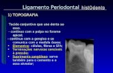 Ligamento Periodontal 1)TOPOGRAFIA Tecido conjuntivo que une dente ao osso. Tecido conjuntivo que une dente ao osso. - contínuo com a polpa no forame apical;