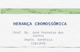 HERANÇA CROMOSSÔMICA Prof. Dr. José Ferreira dos Santos Depto. Genética CCB/UFPE.