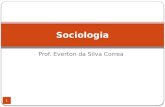 Prof. Everton da Silva Correa Sociologia 1. Curar e adestrar, vigiar e punir (parte I)  2.