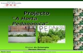 MAIO 2010 Projecto do Plano Estratégico 2009-2010 1 “A Horta Pedagógica” 2009-2010 Projecto Alunos do Externato Passos Manuel.