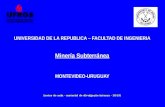 UNIVERSIDAD DE LA REPUBLICA – FACULTAD DE INGENIERIA Minería Subterránea MONTEVIDEO-URUGUAY (notas de aula - material de divulgação interna - 2013)