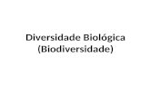 Diversidade Biológica (Biodiversidade). Diversidade biológica (biodiversidade): Diversidade biológica (biodiversidade): significa a variabilidade de organismos.