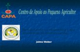 Jaime Weber Red de Acción en Plaguicidas y sus Alternativas de América Latina.