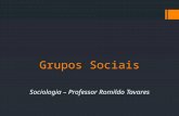 Grupos Sociais Sociologia – Professor Romildo Tavares.