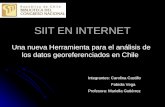 SIIT EN INTERNET Una nueva Herramienta para el análisis de los datos georeferenciados en Chile Integrantes: Carolina Castillo Fabiola Vega Profesora: Mariella.