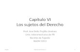 Capítulo VI Los sujetos del Derecho Prof. Ana Delia Trujillo-Jiménez Univ. Interamericana de PR Recinto de Fajardo BADM 3313 Trujillo1Material del Examen.