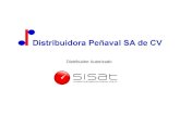 Distribuidor Autorizado. Historia Sistemas de Información Satelital SA de CV (SISAT) es una empresa que surgió debido a la escasa oferta de soluciones.