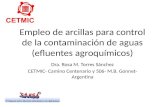 Empleo de arcillas para control de la contaminación de aguas (efluentes agroquímicos) Dra. Rosa M. Torres Sánchez CETMIC- Camino Centenario y 506- M.B.