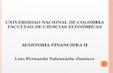 UNIVERSIDAD NACIONAL DE COLOMBIA FACULTAD DE CIENCIAS ECONÓMICAS AUDITORÍA FINANCIERA II Luis Fernando Valenzuela Jiménez.