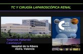 Yolanda Pallardó Calatayud Hospital de la Ribera Alzira. Valencia TC Y CIRUGÍA LAPAROSCÓPICA RENAL.