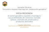 MESA REDONDA El sector ganadero español y marroquí y sus posibilidades de comercio: Ganado selecto, animales de producción y productos derivados Jornadas.