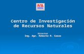 C entro de Investigación de Recursos Naturales Director Ing. Agr. Roberto R. Casas.