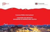Concurso Público Internacional: CONCESIÓN DEL PROYECTO SUMINISTRO DE ENERGÍA PARA IQUITOS.