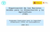 Programas Especiales para la Seguridad Alimentaria (PESA) en Centroamérica 2000-2013 Organización de las Naciones Unidas para la Alimentación y la Agricultura.