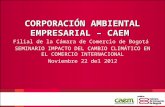 CORPORACIÓN AMBIENTAL EMPRESARIAL – CAEM Filial de la Cámara de Comercio de Bogotá SEMINARIO IMPACTO DEL CAMBIO CLIMÁTICO EN EL COMERCIO INTERNACIONAL.