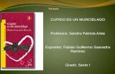 CUPIDO ES UN MURCIELAGO Profesora: Sandra Patricia Arias Expositor: Fabián Guillermo Saavedra Ramírez Grado: Sexto I.