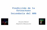 Predicción de la Estructura Secundaria del ARN Rosana Matuk Alejandra Massacane.