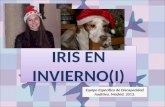 IRIS EN INVIERNO(I) Equipo Específico de Discapacidad Auditiva. Madrid. 2013.