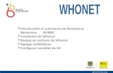 Introducción al subsistema de Resistencia Bacteriana SIVIBAC Instalación de Whonet Backup de archivos de Whonet Agregar antibióticos Configurar variables.
