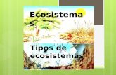 Ecosistemas Tipos de ecosistemas. Un ecosistema es un conjunto de organismos naturales El ecosistema surgió en 1930 por Roy Clapham y Arthur Tansley.