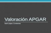 Valoración APGAR Itzel López Contreras. A PG A R Apariencia Pulso Gestos Actividad Respiración.