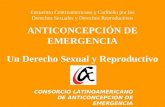 ANTICONCEPCIÓN DE EMERGENCIA Un Derecho Sexual y Reproductivo CONSORCIO LATINOAMERICANO DE ANTICONCEPCIÓN DE EMERGENCIA Encuentro Centroamericano y Caribeño.