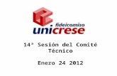 14ª Sesión del Comité Técnico Enero 24 2012. ORDEN DEL DIA 1)Lista de Asistencia 2)Presentación de Estados Financieros (no dictaminados) al 31 de diciembre.