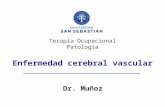 Terapia Ocupacional Patología Enfermedad cerebral vascular Dr. Muñoz.