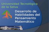 Universidad Tecnológica de la Selva Desarrollo de Habilidades del Pensamiento Matemático.