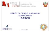 3 Enero 2010 PERÚ: IV CENSO NACIONAL ECONÓMICO PASCO.
