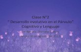 Clase N°2 neuroanatomía del lenguaje