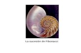 La sucesión de Fibonacci. Serie de Fibonacci Leonardo de Pisa (1170-1250) fue un matemático italiano famoso por la invención de la sucesión de Fibonacci,