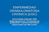 ENFERMEDAD GRANULOMATOSA CRÓNICA (EGC) Inmunología Aplicada 1065 Subprograma 121 Formación de profesores Carolina Hernández Supervisado por MD Lastra.