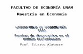FACULTAD DE ECONOMÍA UNAM Maestría en Economía Prof. Eduardo Alatorre LABORATORIO DE ECONOMETRÍA 2006 Pruebas de diagnostico en el modelo Econométrico.